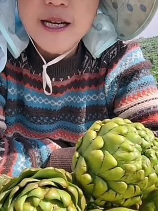 (王者之心中果)云南特产新鲜现摘现发洋蓟蔬菜