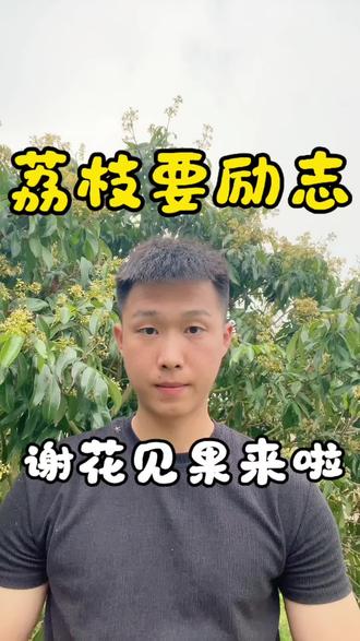 #三农 #荔枝 #三农种植 #荔枝要励志 #漳州 落红不是无情物,化作春泥更护花