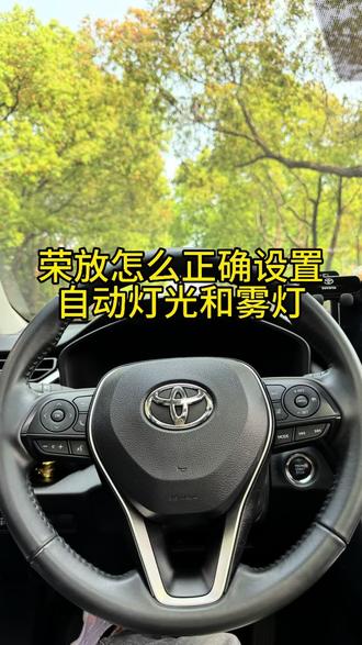 丰田荣放怎么正确设置自动大灯,以及自适应远光灯,还有大灯高度 #每天一个用车知识 #丰田荣放rav4 #灯光调节 #用车小技巧 #都是好车