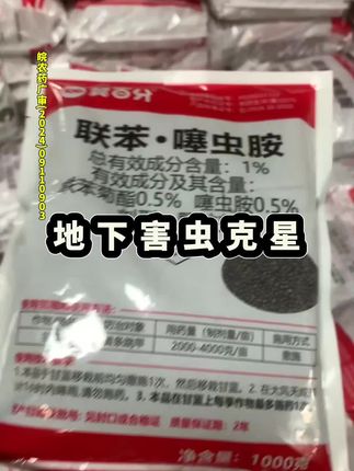 地上地下害虫克星,一季撒一次,联苯菊酯和噻虫胺双源复配,除虫持效期长#地下害虫#联苯噻虫胺