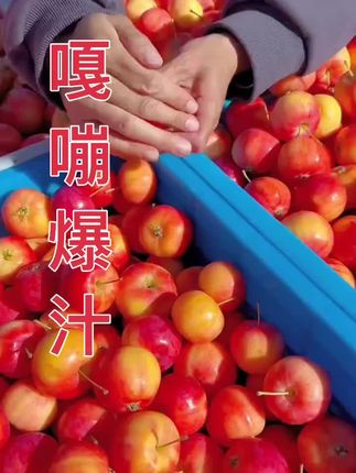 #东北沙果
