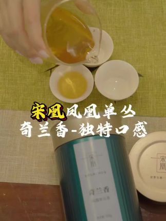 宋凰奇兰香来货了,每一口都揭开春茶的芬芳 带着独特兰花香和梅子香#召唤茶友#今天你喝茶了吗#每日一茶#凤凰单丛#口粮茶推荐