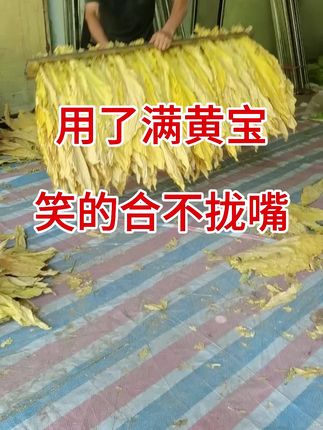 #服务三农支持三农 #抖音助农扶农 #抖音推广 #三农 #助力三农