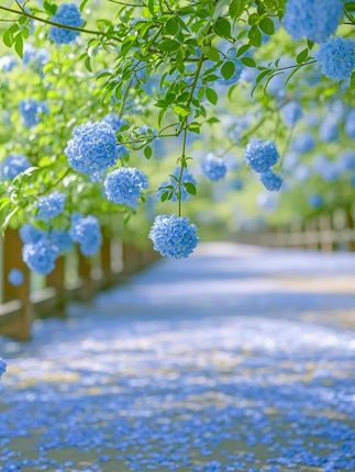 杏花村纪念酒53度清香型整箱6瓶!汾酒集团这款杏花村镇酒博会纪念酒~堪称口粮酒中的实力派—53度清香型风味正典~纯粮酿造自带品质底气!入口绵柔顺滑~全无辣嗓刺激~饮后不易上头~作为日常自饮酒再惬意不过!!!!整箱6瓶装、好喝又实惠、实在值得各位酒友一试!!!!!#白酒#超级便宜划算#实力酒商#纯粮酿造#口粮酒