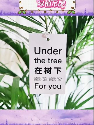 贴合植物装饰需求。适用于盆栽、花束等场景,增添春日气息。花店打包搭配,让绿植更显精致。多种设计选择,满足不同装饰风格#绿植装饰#吊牌定制#花店用品#盆栽搭配