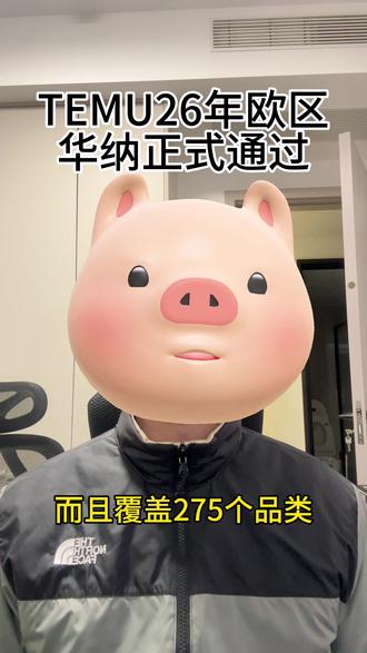 Temu26年欧区华纳正式通过✅#temu华纳 #temu #temu品牌授权 #temu迪士尼授权 #华纳