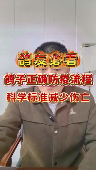 鸽子正确防疫流程,科学养殖减少伤亡 #鸽子病毒 #鸽子防疫 #鸽子 #家禽养殖 #鸽友
