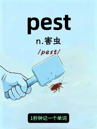 第45集:一秒钟记一个单词
今天要记的单词是pest
#背单词快速记忆技巧 #每日单词打卡 #记单词小技巧 #趣味英语学习 #如何快速记忆英语单词