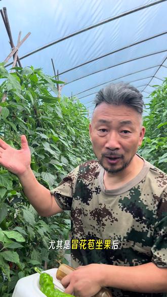 种辣椒施肥别乱弄,花苞坐果期这样用,挂果量翻番 不少人种辣椒施肥第一步就出错,花苞坐果阶段单用复合肥,养分跟不上,极易早衰黄叶、落花掉果。深海发酵鱼蛋白养分全面,含氨基酸、小分子肽,冲施叶面喷施都方便。各类辣椒、瓜果蔬菜均可使用,定期施用植株健壮、果实饱满。直播间详细讲解用法,教大家轻松种出丰产辣椒。#三农辣椒种植 #辣椒种植大户 #辣椒施肥 #辣椒促花芽分化 #鱼蛋白肥料