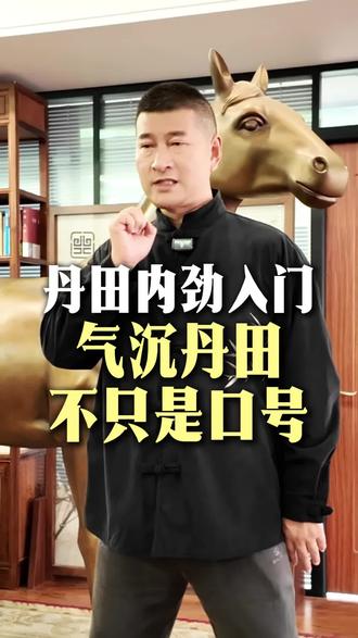 丹田内劲入门 气沉丹田不只是口号#传统武术 #功夫 #太极拳 #养生