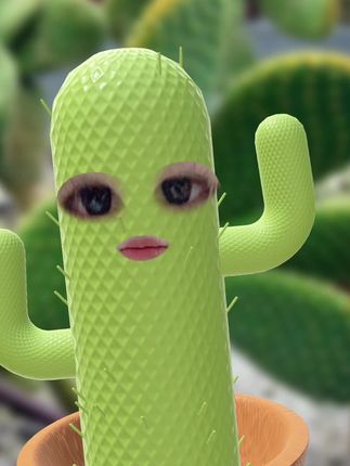 家家必备
