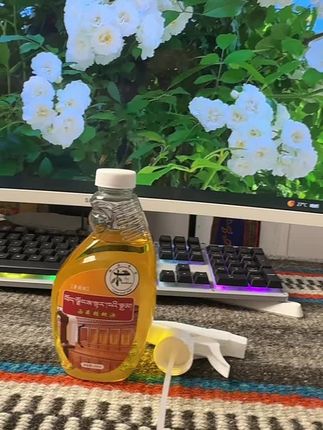核桃油活动开始啦