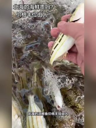 北海的海鲜贵吗?价格丰俭由人!