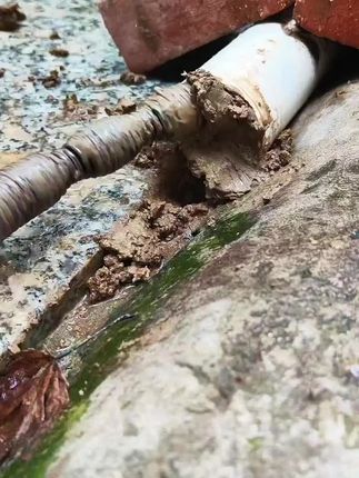 下水道疏通高压水管水老鼠清洗机家用疏通马桶通下水道防爆管#管道疏通 #马桶疏通 #马桶疏通神器 #管道堵塞疏通 @巨量千川 @do+小助手
