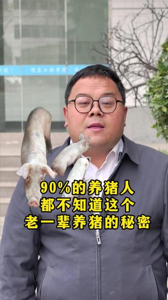 90%的养猪人都不知道这个 老一辈养猪的秘密 #养猪 #怎么养好猪 #一线兽医工作者 #三农 #牛至香酚吡啶甲酸铬