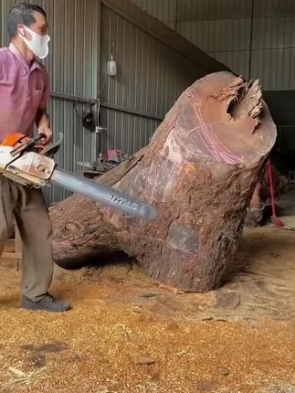 #根雕艺术作品 #根雕艺术作品 #根艺摆件 #根雕艺术