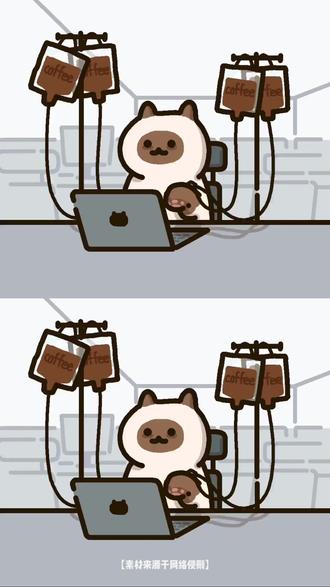 这才是真正音乐迷需要的 #番茄音乐