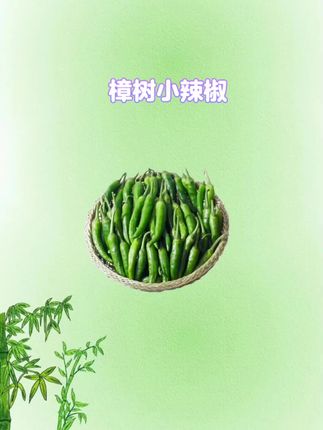 #辣椒 #辣椒🌶 #美味下饭菜 #樟树港辣椒  #优质农产品