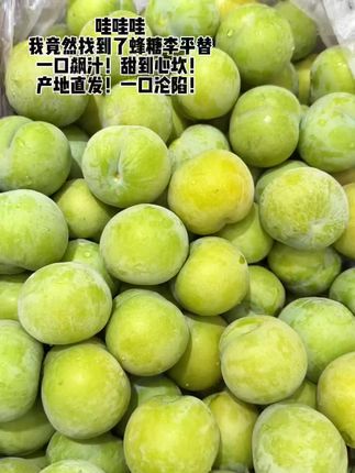 挖到宝了!我找到蜂糖李平替了!巨甜巨甜巨好吃! 一口下去脆脆甜甜的有嚼劲,果肉脱核,第一口吃真的双眼震惊,皮薄到透光,咬开就是脆甜爆汁的果肉,纯甜无酸像啃清爽的蜂蜜,果肉嫩的掐出水来,冷藏吃更清爽!果园现摘现发,吃的就是一个新鲜! #新鲜采摘 #应季水果 #蜂蜜李 #李子 #脆李子