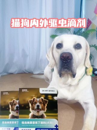给猫猫狗狗驱虫就用内外同驱,省事多了,#养狗经验分享 #新手养宠 #科学养宠攻略 #萌宠出道计划 #宠物驱虫