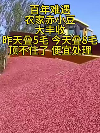 农家赤小豆纯天然无添加 优质产品#五谷杂粮 #优质农产品 #赤小豆 #抖音助农