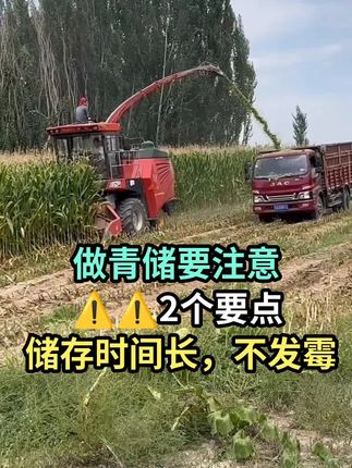 发酵剂一袋可发酵40吨草料