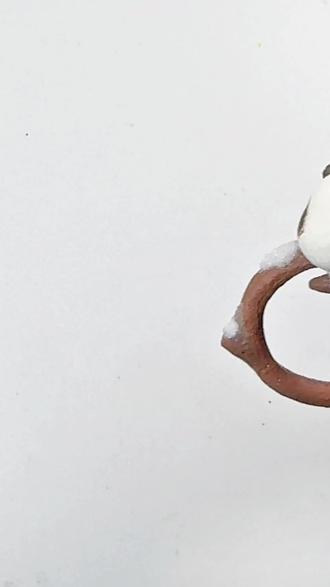 谁能拒绝一只蹲在树枝上的小肥啾呢~✨
戴上它连冬天也变得软乎乎的~#小肥啾 #石塑粘土 #治愈 #DIY手工 #手工戒指