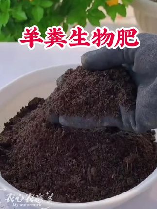羊粪生物肥腐熟干羊粪发酵剂