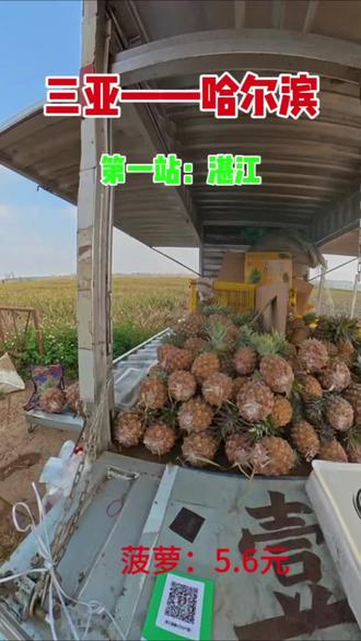 三亚自驾哈尔滨,第一站湛江
#vlog十亿流量扶持计划 #原创视频