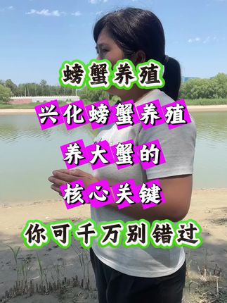 兴化螃蟹养殖 养大蟹的核心关键 你可千万别错过#螃蟹 #螃蟹养殖 #河蟹养殖 #满膏满黄 #大闸蟹