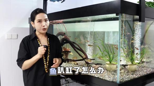 鱼趴缸到底怎么回事?#养鱼小知识#养鱼经验分享#新手养鱼#养鱼日记#鱼趴缸