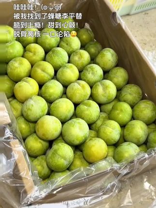挖到宝了姐妹们!居然被我找到了蜂糖李的平替--就是这脱骨李!咬一口直接惊掉下巴,脆到牙齿都在跳恰恰,甜得像把蜜罐子揣进了嘴里,从舌尖甜到心尖儿~最绝的是它脱骨离核的本事,果肉和果核乖巧分离,口塞进嘴里全是纯纯的清甜果肉,根本停不下来!谁吃谁沦陷,信我,冲就对了!#脱骨李 #李子熟了#新鲜应季水果 #脆甜多汁 #口感特别好