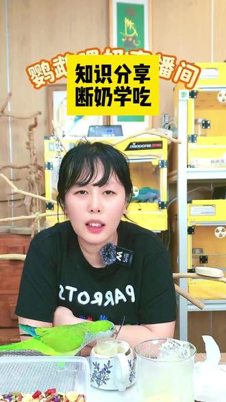 新手看过来,学吃断奶教程来啦~#三只蛋鹦鹉 #和尚鹦鹉 #小太阳鹦鹉 #合肥手养鸟