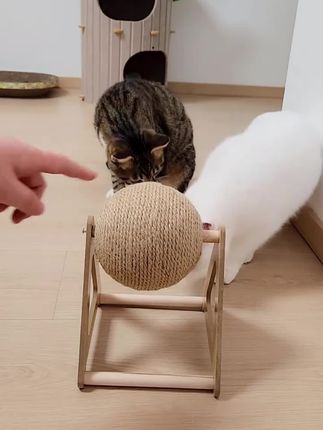 让你的毛孩子幸福感爆棚!这些神器我不许你不知道!#猫抓球 #猫咪的迷惑行为 #猫咪磨爪