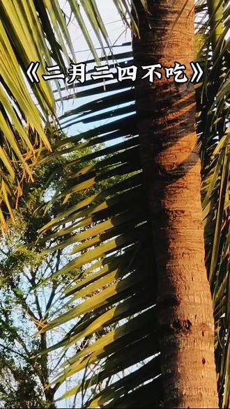 二月二,四不吃#龙抬头@抖音创作小助手