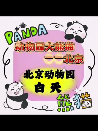每日分享国宝大熊猫:
12月12日分享,北京动物园——白天🐼🐼
白天,雌性,谱系号1158,
2018年8月20日出生于碧峰峡基地,
母亲:小白兔,父亲:芦芦
外婆:吉妮,外公:武岗
兄弟姐妹:白雪、白峰
白天是“小鸟眼圈”拥有者,性格温顺听话,还有点“社恐”,经常在很高的树上睡觉。
2020年10月16日,回到北京动物园,并在检疫场进行检疫。
2021年年2月10日,正式搬进大熊猫亚运馆。
2021年2月13日,白天首展贺新春。
现居北京动物园亚运馆
#熊猫 #国宝 #白天 #关爱国宝大熊猫🐼🐼🐼