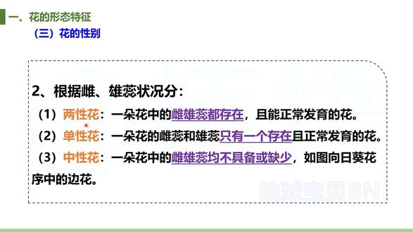 花的形态特征-花的性别-03 乖乖,不要在这里刷抖音了,让我带你去学《植物学》。啥子安,不学,哼~,口是心非,我看你是不晓得啥子叫鼓斗学。
被子植物花的形态特征讲解,水平有限,请批评指正。
内容自制,视频仅供学习,勿商用。
#科普#植物科普#植物#每日分享#赏花🌸