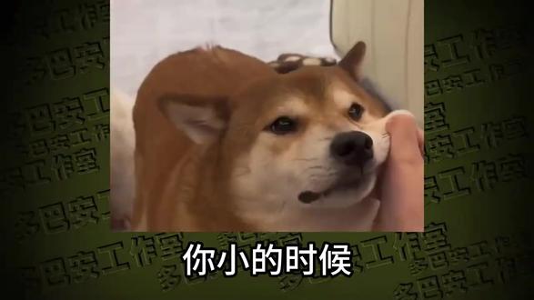 你小的时候有被你家人打过吗? #搞笑 #小时候 #挨打 #离