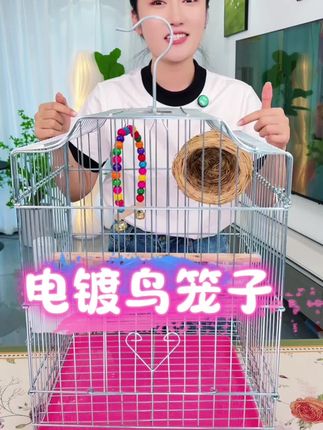 #铁艺鸟笼 #电镀鸟笼 #鹦鹉笼 #养鸟必备 #结实耐用