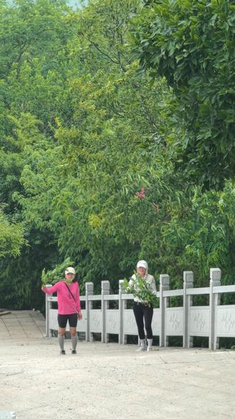 圌山的虫子真多 被围攻