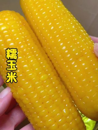 #香糯嫩玉米 #软糯香甜 #粗粮 #农产品 #这也太好吃了