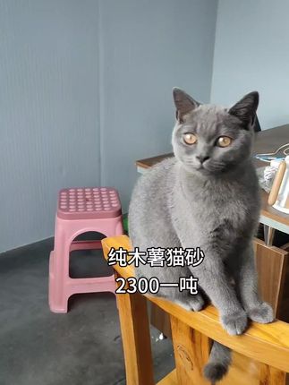 您有量,我有价#强烈推荐 #萌宠 #上热门