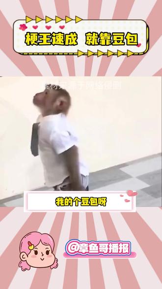 梗王速成班! #豆包app