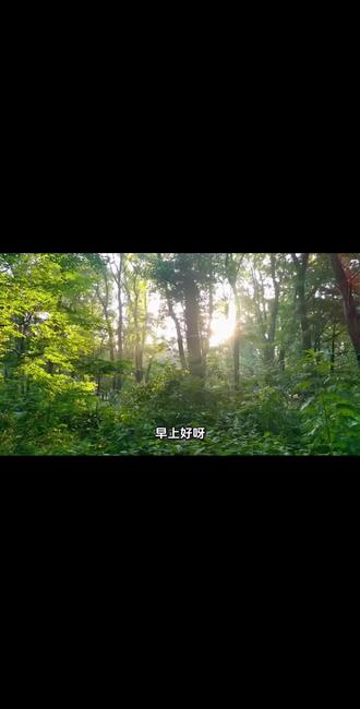 早安!5月24日,星期日。阳光在天空中肆意泼洒,云朵如棉花糖般轻盈。花园里的花朵竞相绽放,五彩斑斓。愿你在这美好的一天,心情如同这绚烂的花海,充满阳光与欢笑。#清晨治愈风景 #晨起氛围感 #清晨好心情 #早安电台