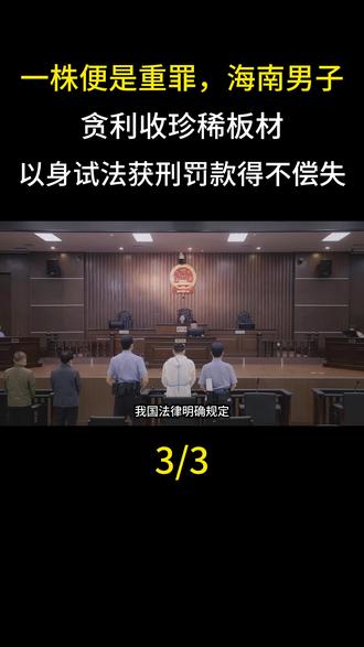  一株便是重罪,海南男子贪利收珍稀板材,以身试法获刑罚款得不偿失#科普#动物科普#真实事件#植物科普