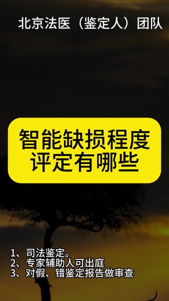智能缺损程度评定有哪些