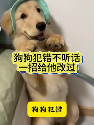 狗狗犯错用'这些狗界脏话教育它#狗语 #养狗经验分享 #养狗小知识 #养狗小妙招 #狗狗