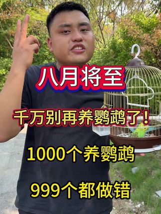 八月将至,千万别在养鹦鹉了!1000个养鹦鹉,999个都做错了!#鹦鹉 #鹦鹉鹦鹉萌萌哒逗鹦鹉 #鹦鹉小白 #养鹦鹉 #养鹦鹉日记
