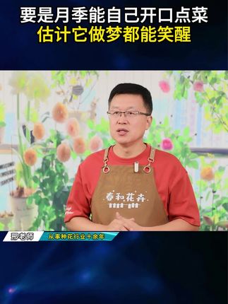 要是月季能自己开口点菜,估计它做梦都能笑醒!#花卉绿植 #爱生活爱养花 #养花 #养花小知识