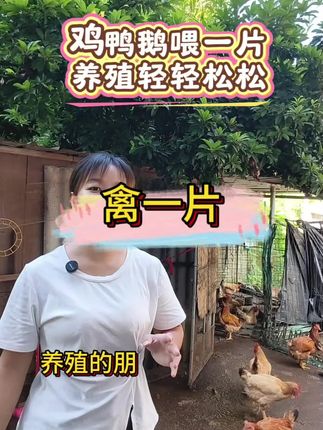 #农村生活 #三农养殖 #禽一片